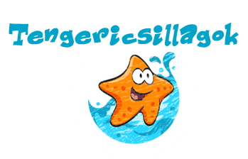 Tengeics_logo